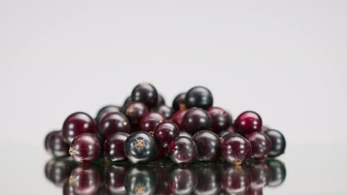 Pile of Ripe Black Currants on Reflective Surface