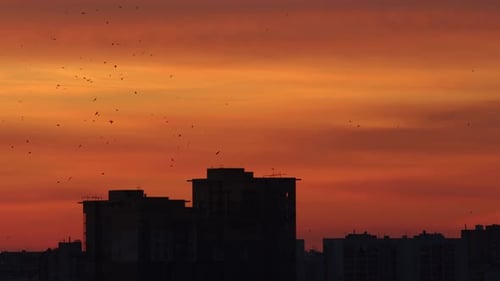 Cielo matutino de tonos rojos, naranjas y amarillos - Siluetas de edificios - Amanecer rojo
