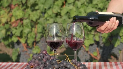 Red Wine Pouring in Glass at Vineyard Country Farm