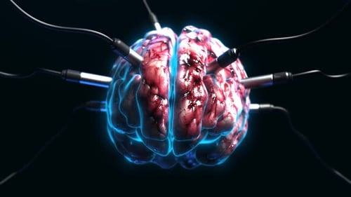 Artificial Intelligence. brain