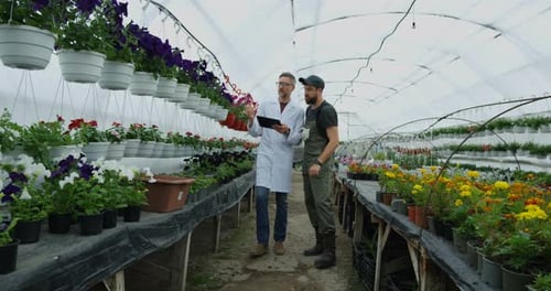 Researcher and Farmer Inspecting Flowers in Greenhouse