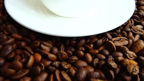 Aromatic Coffee Beans and White Ceramic Cup