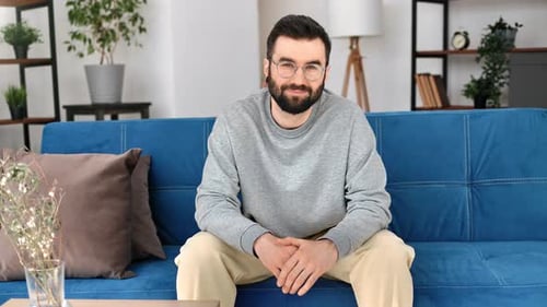 Focused Successful Modern Man Smiling Sitting on Blue Couch at Home Living Room Interior