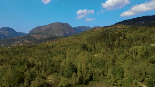 steep green mountains, deep forest and mountain road, beautiful valley