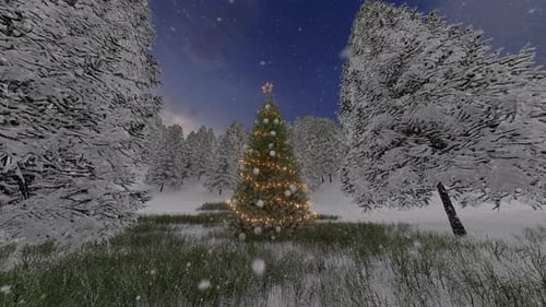 Christmas Tree In The Forest