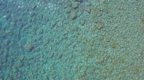 Calm waves, transparent clear sea water at summer tropical beach aerial view. Travel vacation holida