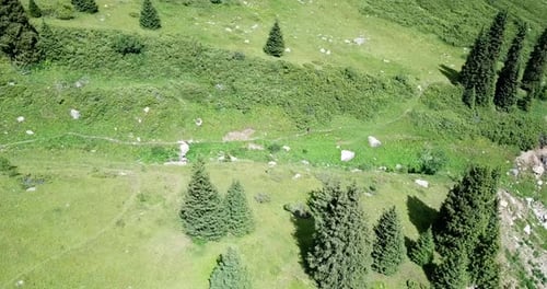 Person Hiking Green Mountain Trail, Aerial View
