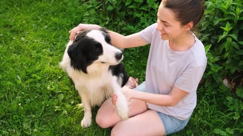 Lächelnde junge attraktive Frau streichelt und spielt mit süßem Hundewelpen Border Collie im Sommer im Freien