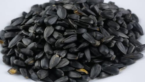 Black Sunflower Seeds Rotating on White Surface