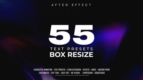 Box Title Presets