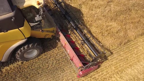 Aerial view of combine harvester harvesting large ripe wheat field. Agriculture from drone view.