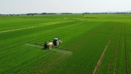 Farmer Spraying Fertilizer, Herbicide, Pesticide on Agriculture Farm Field with Tractor Machinery