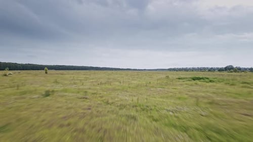 Aerial View to Green Spring Landscape with Meadow