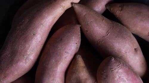 Pile of Fresh Sweet Potatoes Close Up
