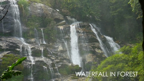 Wasserfall im Wald