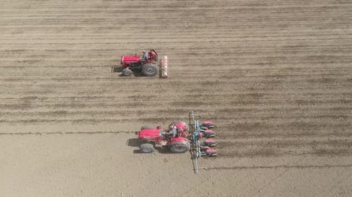 Tractor plows the ground with a plow in the field