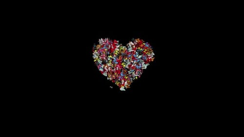 Colorful Butterflies Fluidly Forming a Heart Animation