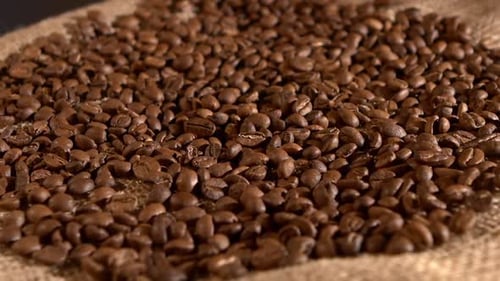 Roasted Coffee Beans on Burlap