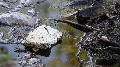 Verschmutztes Wasser