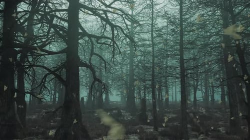 Loop Slow Flight Past a Gloomy Daytime Forest with Falling Leaves