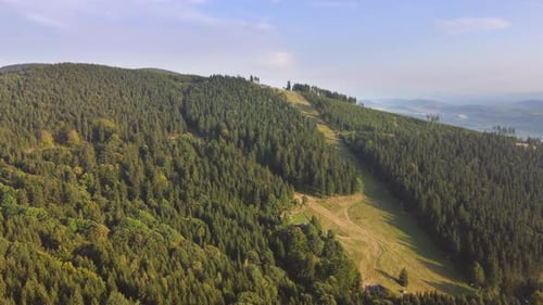 Flying Over Forest in Mountain