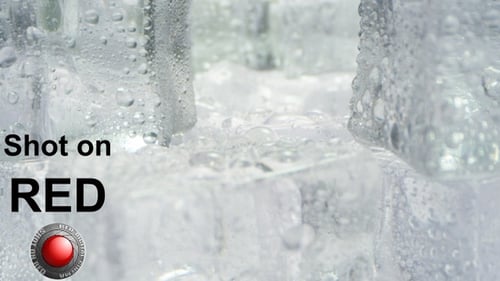 Close Up Detail of Melting Ice Cubes