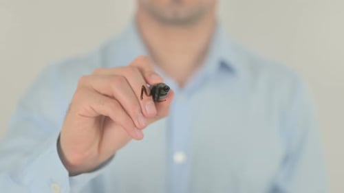 Mentors Wanted, Writing on Transparent Screen