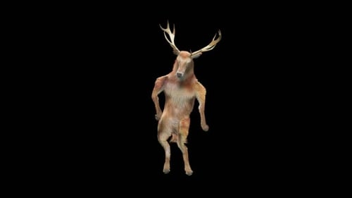3D Animated Dancing Deer Alpha Channel