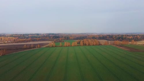 Vista aérea do campo no outono.4K