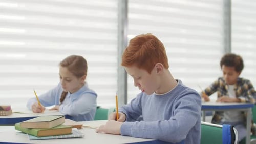 Children Concentrating on Schoolwork in Bright Classroom