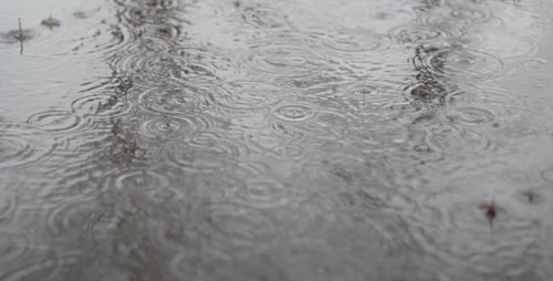 Rain Falls In City 2