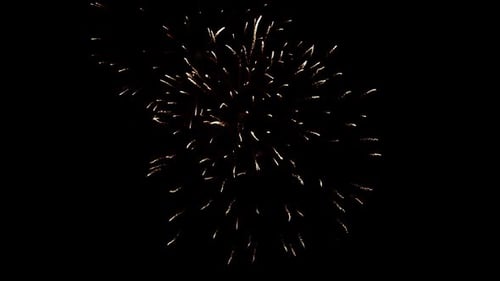 Fireworks 021