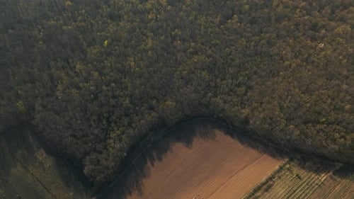 Aerial View on Forest and Country Side Area Green Fields