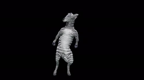 Animated Dancing Zebra Funny Character Loop