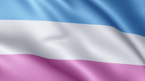 Realistic Transgender Pride Flag Waving in Wind Loop