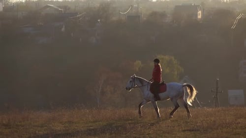 Jóquei cavalgando no garanhão branco puro-sangue