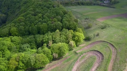Aerial view of green summer forest with tall trees.