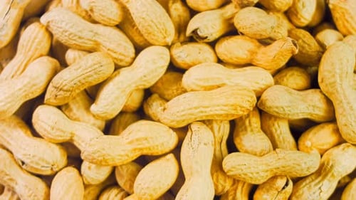 Close-up of Shelled Peanuts Pile