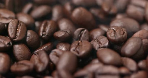 Roast coffee bean