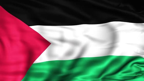 Waving Palestine Flag Realistic Fabric Motion Loop