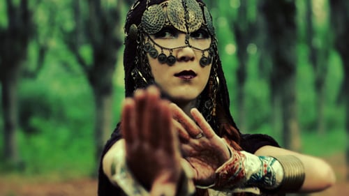 Woman in Fantasy Headpiece Posing in a Forest