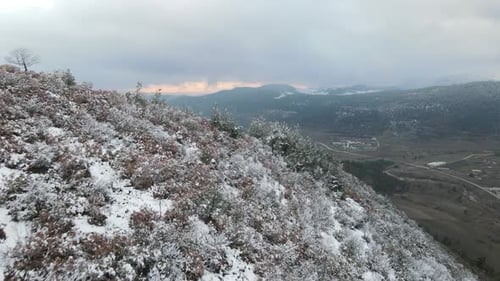 Epic Winter Forest High Mountains Aerial