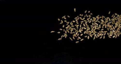 Scattered Cardamom Pods on Black Surface