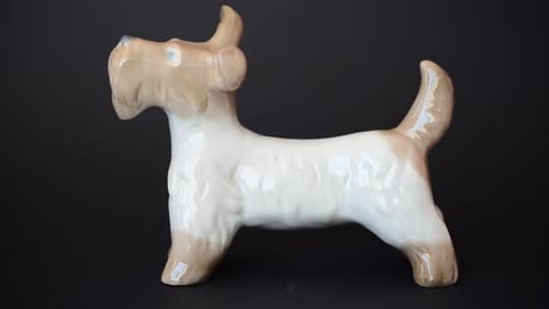 Dog 116