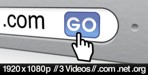 Connect to a Website on a Browser - .com .net .org