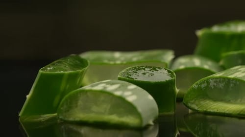 Close Up of Fresh Sliced Aloe Vera