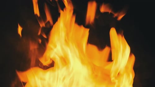 Bright Fire Flames Flickering on Black Background