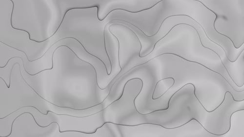 Abstract Fluid Grey Wavy Lines Animated Loop Background