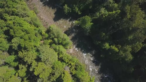 Aerial Drone Topical View Showing Rushing Water Rapids Between Evergreen Forest 2