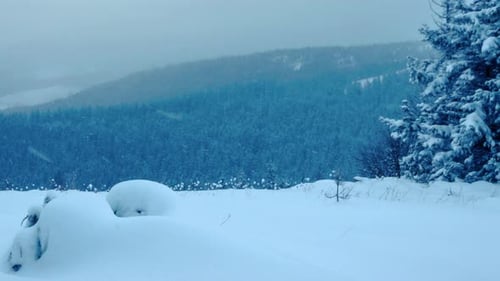 A Strong Winter Snowstorm